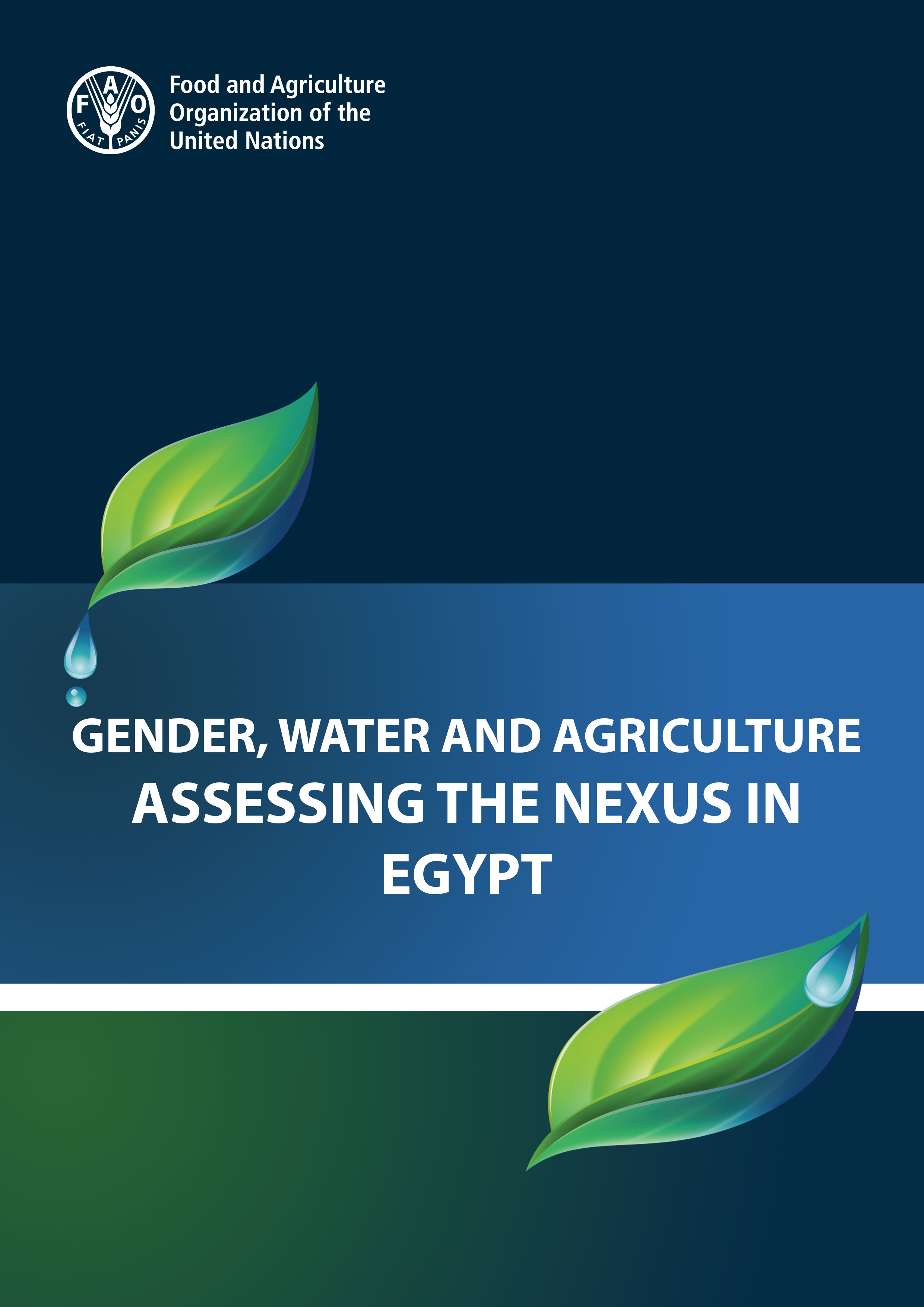 All Publications Fao In Egypt Продовольственная и сельскохозяйственная организация