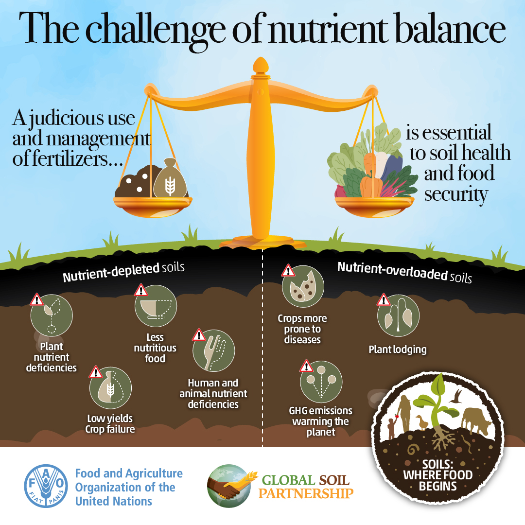 Soil fertility | Global Soil Partnership | Food and Agriculture  Organization of the United Nations
