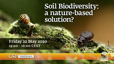 Soil biodiversity