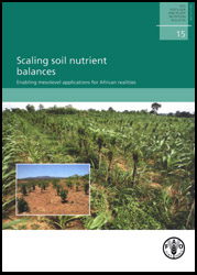 Scaling soil nutrient balances