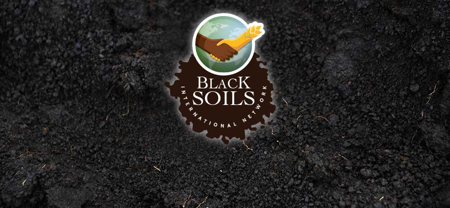 What Is The International Network Of Black Soils And How Does It Work 