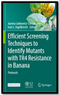 Efficient Screening Techniques to Identify Mutants with TR4 Resistance in Banana