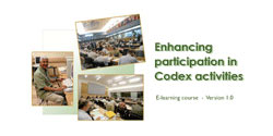 Enhancing participation in Codex activities - eLearning course┃ © FAO 
