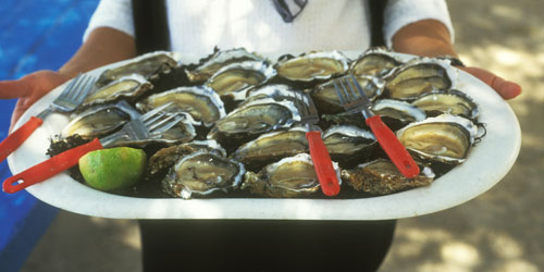 Serving plate of oysters ┃ © FAO/Giuseppe Bizzarri