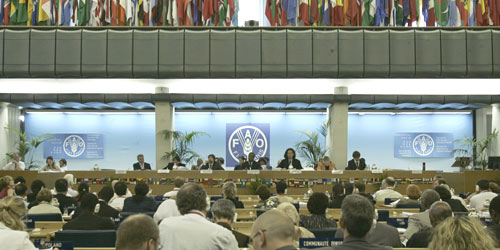 2 July 2007, Rome - A general view of the opening ceremony of the 30th Session of the FAO/WHO Codex Alimentarius Commission, at FAO headquarters - ©FAO / Alessandra Benedetti