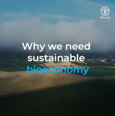 FAO bioeconomy visual assets now available in multiple languages ...