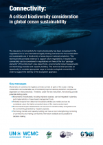 Connectivity: A critical biodiversity consideration in global ocean sustainability 