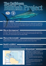 The Caribbean Billfish Project