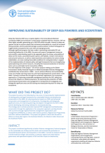 Improving Sustainability of Deep-Sea Fisheries and Ecosystems - GCP/GLO/366/GFF