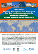 Policy Brief: Capacity Development as a Key Aspect of a New International Agreement on Marine Biodiversity Beyond National Jurisdiction (BBNJ)