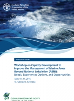 Workshop on Capacity Development to Improve the Management of Marine Areas beyond National Jurisdiction (ABNJ): Needs, Experiences, Options and Opportunities - May 18–21, 2016, St. George’s, Grenada