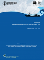 Report of the Areas Beyond National Jurisdiction Deep Sea Meeting 2019