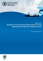 Report of the Workshop on the use of still and video cameras to record deepwater shark catches by scientific observers