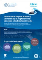 Sustainable Fisheries Management and Biodiversity Conservation of Deep-Sea Living Marine Resources and Ecosystems in Areas Beyond National Jurisdiction