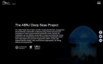 Online Report of the Common Oceans ABNJ Deep Seas Project