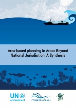 Area-based planning in Areas Beyond National Jurisdiction: A Synthesis