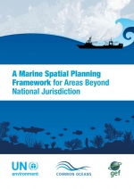 A marine spatial planning framework for Areas Beyond National Jurisdiction