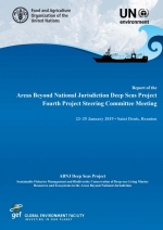 Report of the Areas Beyond National Jurisdiction Deep Seas Project Fourth Project Steering Committee Meeting