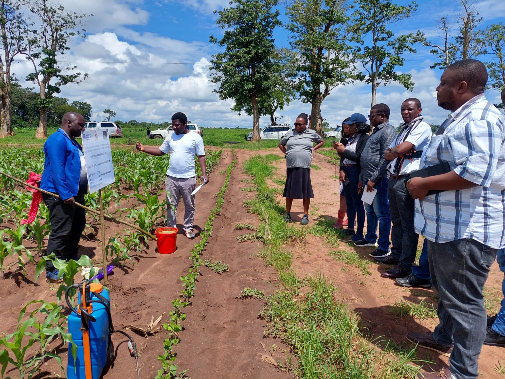 FAO Country Profiles | Zambian experts applaud farmer-led innovations for  fall armyworm control in Malawi | Food and Agriculture Organization of the  United Nations