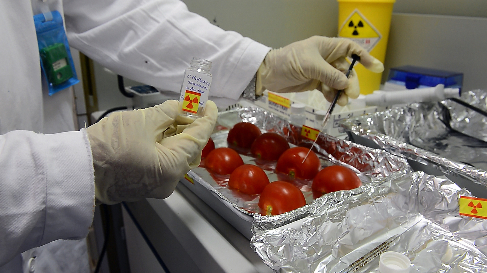 Seven Examples Of Nuclear Technology Improving Food And Agriculture