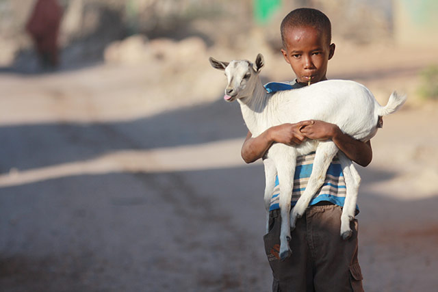 Over One Million People In Somalia Face Acute Food Insecurity As Food Crisis Worsens Fao 