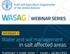 Webinar: Soil and Water Management in salt-affected areas
