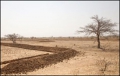 World Day to Combat Desertification at FAO HQ 17th June 2014