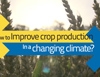 How to improve crop production in a changing climate?