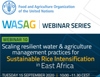 Webinar: Scaling Resilient Water and Agriculture Management Practices for Sustainable Rice Intensification in East Africa