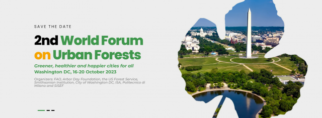 The Northern Forest Forum