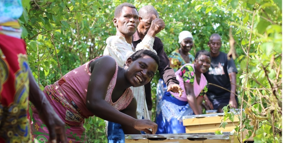 Promouvoir l'apiculture commerciale pour des moyens de subsistance durables au Malawi