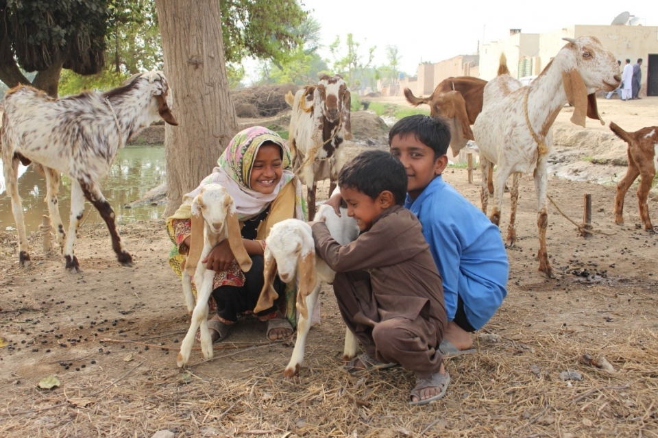 Transforming Lives: The Impact of Farmers' Field Schools in the 