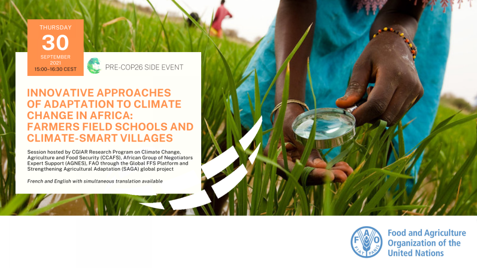 Innovative approaches of adaptation to climate change in Africa: Farmer Field Schools and Climate-Smart Villages