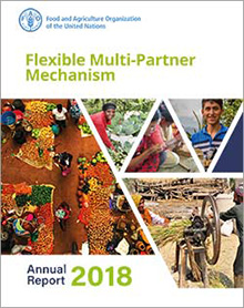 FMM - Annual Report 2018