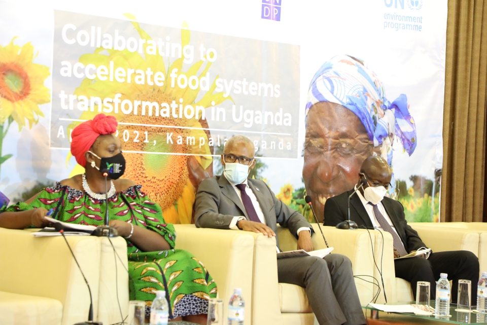 FMM’s Sustainable development of food systems helps governance innovations