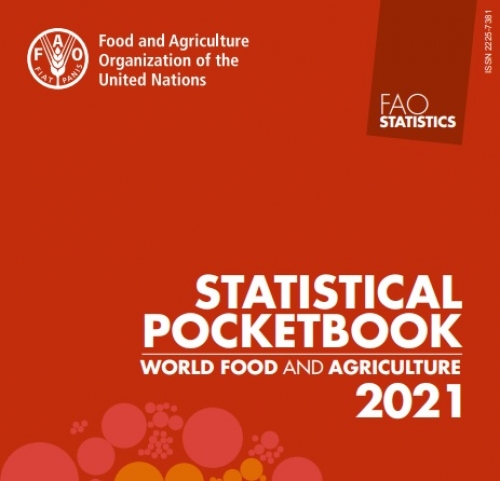 Statistical Yearbook and Pocketbook | FAO | Food and Agriculture  Organization of the United Nations