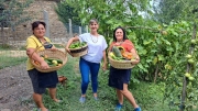 [VIDEO] Sowing the future: Agritourism and sustainable food systems in Albania