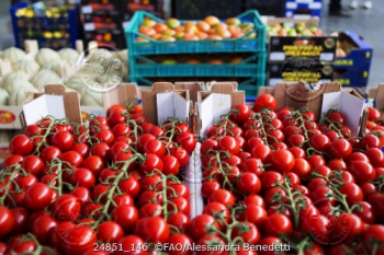 أندونيسيا تحدد أسعاراً مرجعية جديدة للسلع | رصد أسعار الأغذية وتحليلها  (FPMA) | منظمة الأغذية والزراعة للأمم المتحدة