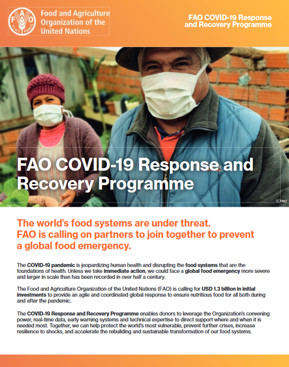 FAO COVID-19 Response and Recovery Programme |Policy Support and  Governance| Food and Agriculture Organization of the United Nations