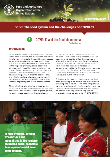 The food system and the challenges of COVID-19. COVID-19 and the food  phenomena |Policy Support and Governance| Food and Agriculture Organization  of the United Nations