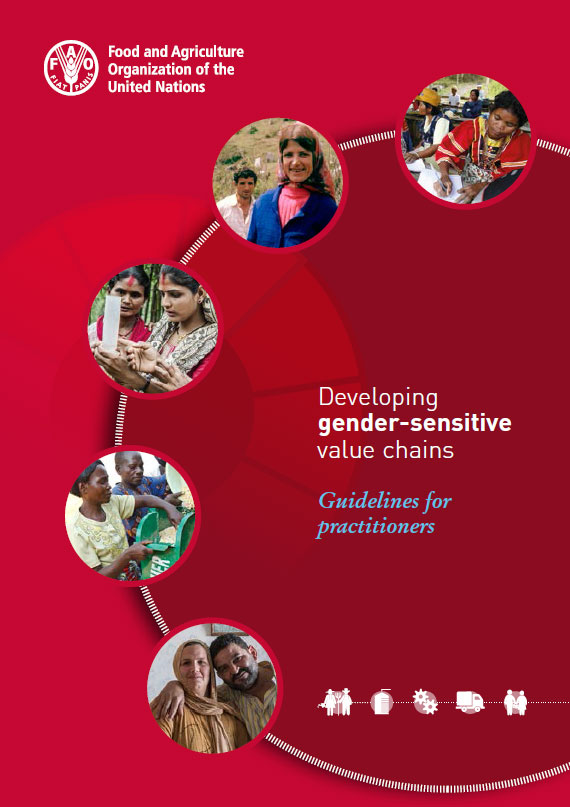 Developing Gender Sensitive Value Chains Guidelines For Practitioners Policy Support And 3102