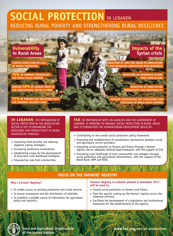 Social protection in Lebanon. Reducing rural poverty and strengthening  rural resilience |Policy Support and Governance| Food and Agriculture  Organization of the United Nations