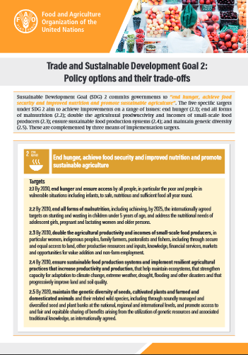 Fair Trade's Role in Supporting the United Nations SDGs - The