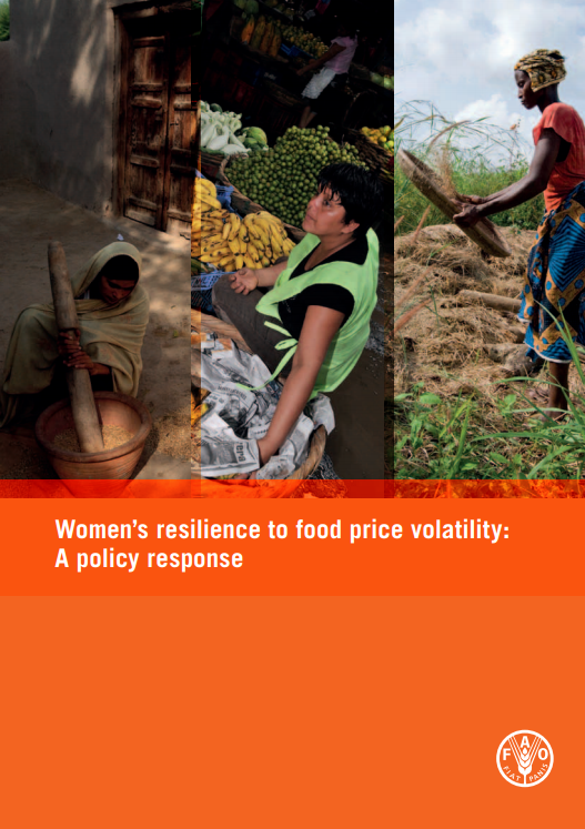 Women's resilience to food price volatility: A policy response, Policy  Support and Governance