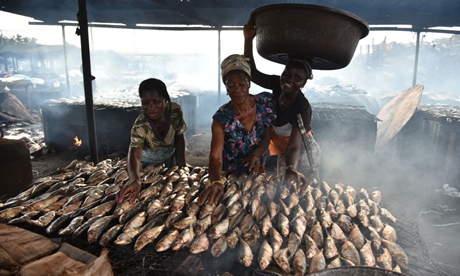 Hornos FAO-Thiaroye: Airear el panorama para las mujeres dedicadas al  procesamiento de pescado de Côte d'Ivoire y más allá | Género |  Organización de las Naciones Unidas para la Alimentación y la