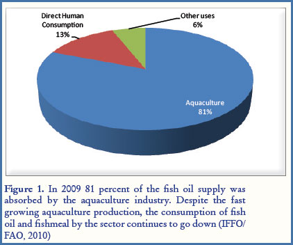 Farmed fish: a major provider or a major consumer of omega-3 oils? |  GLOBEFISH | Food and Agriculture Organization of the United Nations