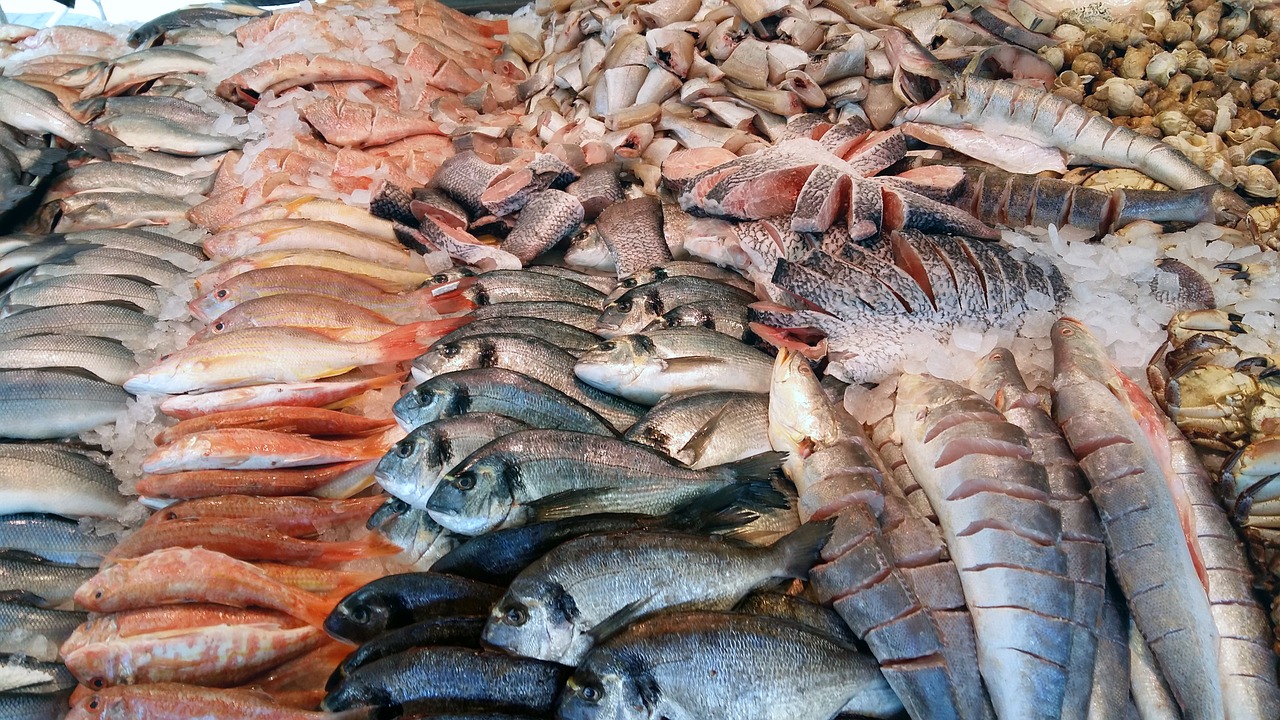 Positive outlook for global seafood as demand surges for multiple