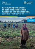 Safeguarding the right to adequate food during pandemics and emergencies