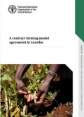 A contract farming model agreement in Lesotho