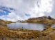 Improving water regulation in Andean forest landscapes
